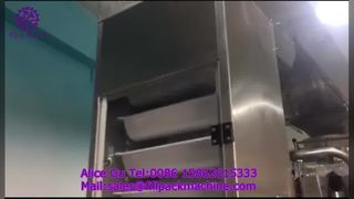 2284 J122 Máquina de embalagem de bolinho congelado com enrolamento de filme vertical e saco com vedação traseira
