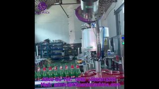 Máquina tampadora automática de 6 cabeças com tampa de coroa 2220 J118