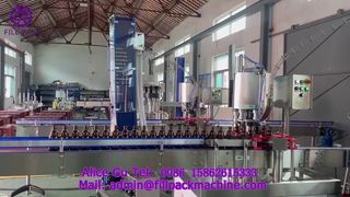 2216 J118 Máquina tampadora automática de 6 cabeças com tampa de coroa
