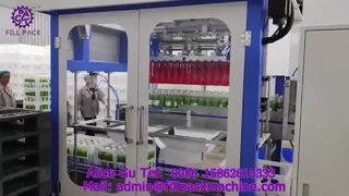 2235 P15 Máquina automática de embalagem de caixas com pinça de cabeça dupla