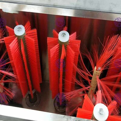 Máquina semi automática dobro da limpeza de garrafa de vidro das cabeças para a linha de enchimento da bebida