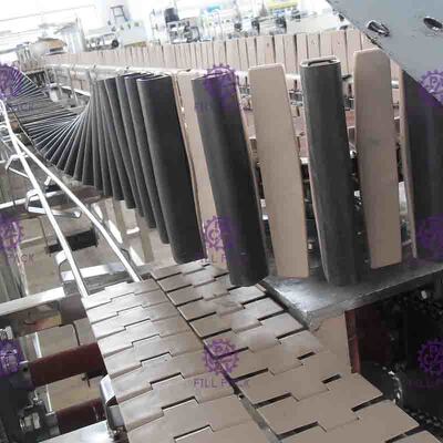 Sistema plástico reverso 8000BPH do esterilizador da garrafa para a linha de produção Flavored do suco
