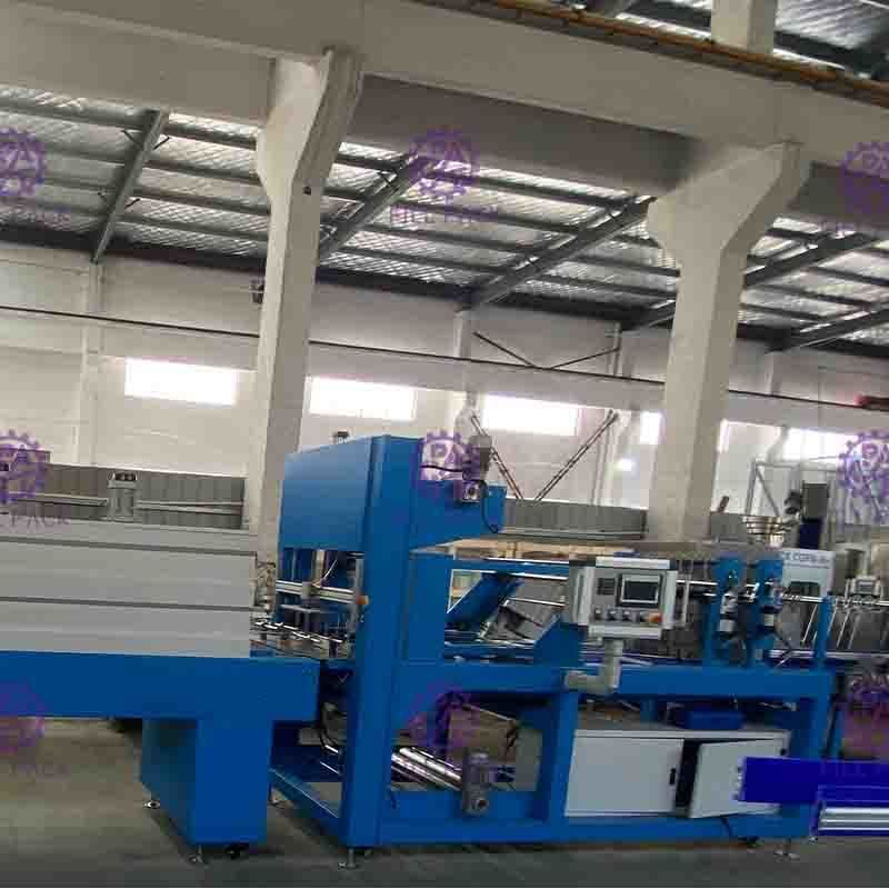 Envoltório linear totalmente automático do psiquiatra para o equipamento plástico da embalagem da garrafa com filmes impressos